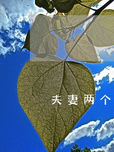 夫妻两个信用卡全部逾期 夫妻两个信用卡全部逾期