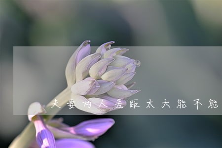 夫妻两人差距太大能不能离婚 夫妻两人差距太大能不能离婚