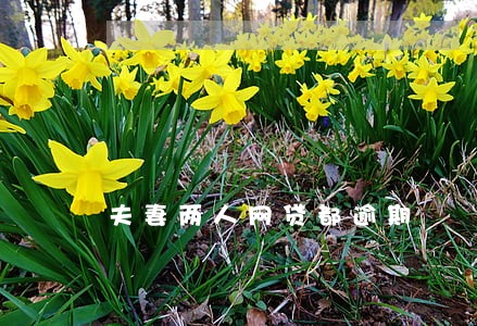 夫妻两人网贷都逾期 夫妻两人网贷都逾期