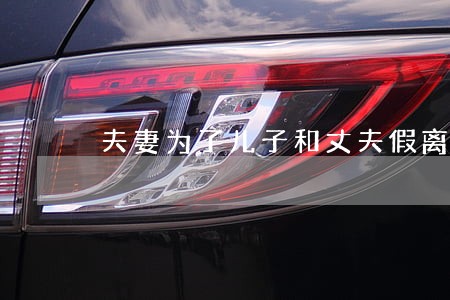 夫妻为了儿子和丈夫假离婚 夫妻为了儿子和丈夫假离婚