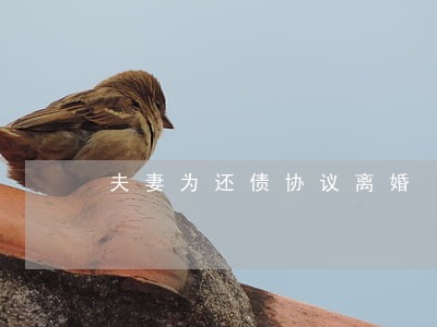 夫妻为还债协议离婚 夫妻为还债协议离婚