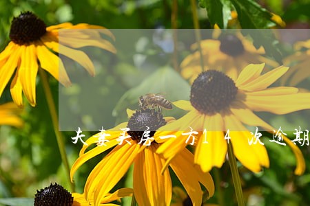 夫妻买房一方14次逾期 夫妻买房一方14次逾期
