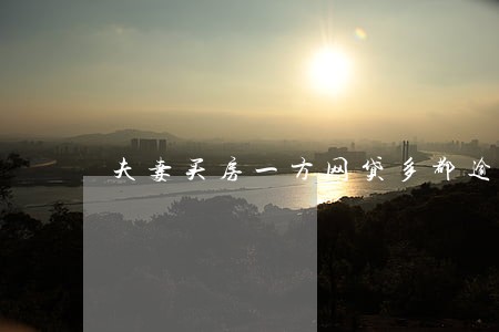 夫妻买房一方网贷多都逾期 夫妻买房一方网贷多都逾期