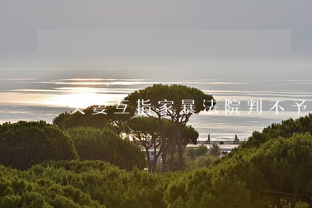 夫妻互指家暴法院判不予离婚 夫妻互指家暴法院判不予离婚