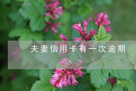 夫妻信用卡有一次逾期 夫妻信用卡有一次逾期