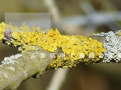 夫妻信用卡逾期会并案吗
