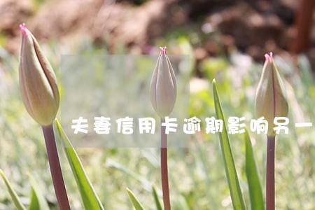 夫妻信用卡逾期影响另一半吗 夫妻信用卡逾期影响另一半吗