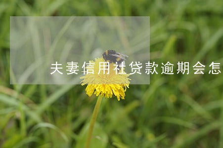夫妻信用社贷款逾期会怎么办 夫妻信用社贷款逾期会怎么办