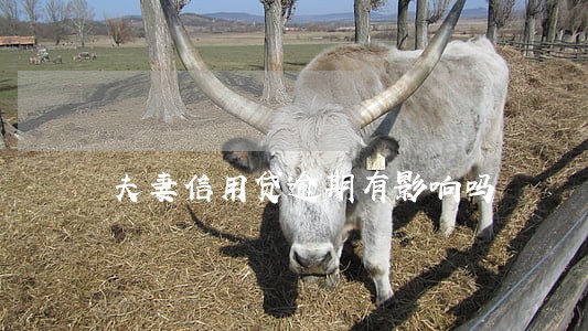 夫妻信用贷逾期有影响吗