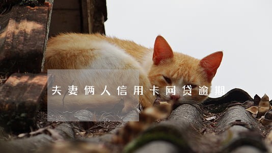 夫妻俩人信用卡网贷逾期 夫妻俩人信用卡网贷逾期