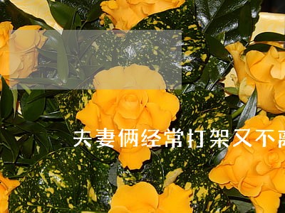 夫妻俩经常打架又不离婚 夫妻俩经常打架又不离婚