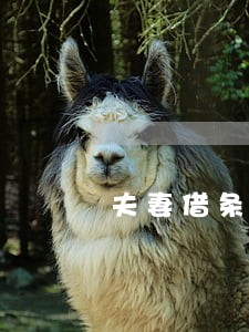 夫妻借条法律效力 夫妻借条法律效力