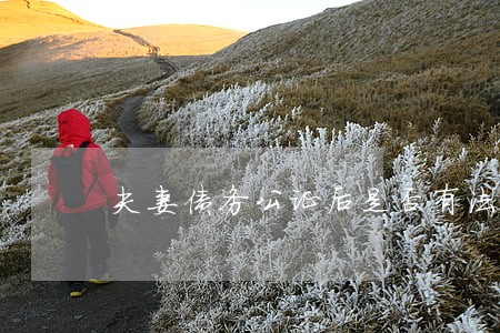 夫妻债务公证后是否有法律效力 夫妻债务公证后是否有法律效力