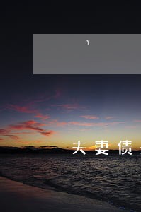 夫妻债务姜威律师 夫妻债务姜威律师