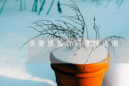 夫妻债务官司律师咨询