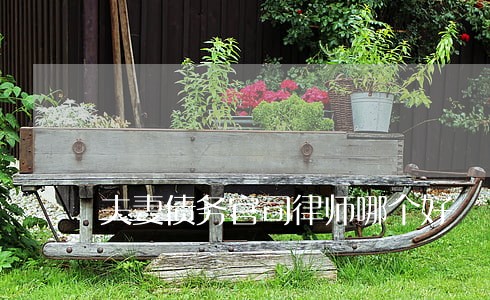 夫妻债务官司律师哪个好 夫妻债务官司律师哪个好