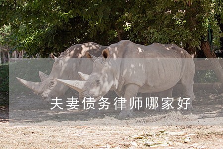夫妻债务律师哪家好 夫妻债务律师哪家好