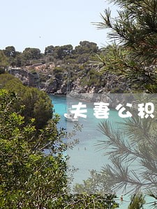 夫妻公积金信用贷逾期有影响吗 夫妻公积金信用贷逾期有影响吗