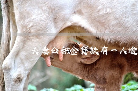 夫妻公积金贷款有一人逾期过 夫妻公积金贷款有一人逾期过