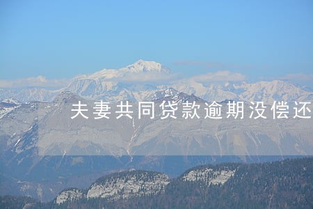 夫妻共同贷款逾期没偿还 夫妻共同贷款逾期没偿还