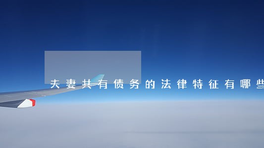 夫妻共有债务的法律特征有哪些 夫妻共有债务的法律特征有哪些