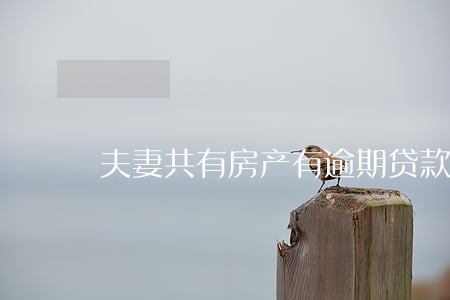 夫妻共有房产有逾期贷款