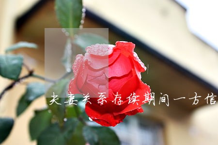 夫妻关系存续期间一方信用卡逾期 夫妻关系存续期间一方信用卡逾期