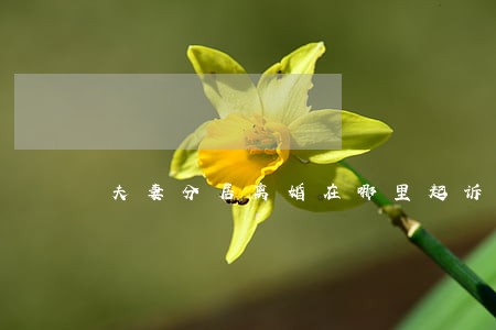 夫妻分居离婚在哪里起诉