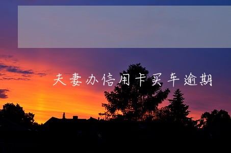 夫妻办信用卡买车逾期