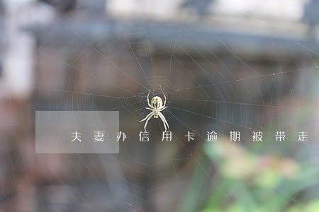 夫妻办信用卡逾期被带走 夫妻办信用卡逾期被带走