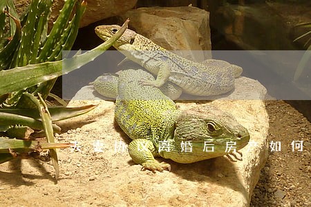 夫妻协议离婚后房产如何归一方 夫妻协议离婚后房产如何归一方