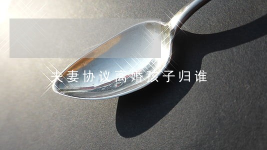 夫妻协议离婚孩子归谁 夫妻协议离婚孩子归谁