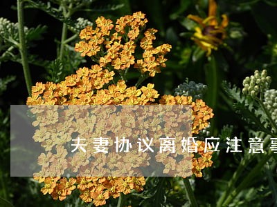 夫妻协议离婚应注意事项 夫妻协议离婚应注意事项