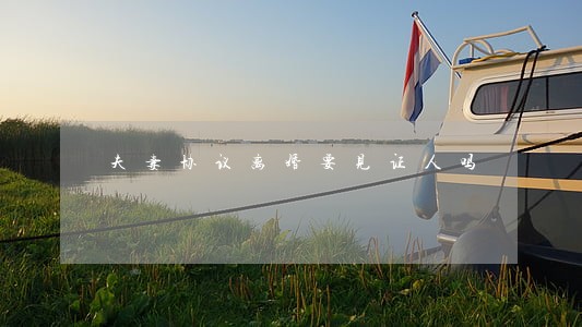 夫妻协议离婚要见证人吗 夫妻协议离婚要见证人吗