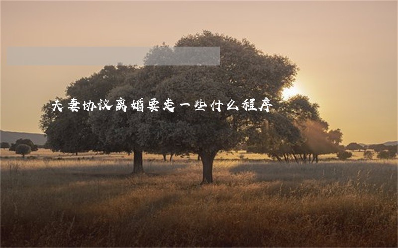 夫妻协议离婚要走一些什么程序 夫妻协议离婚要走一些什么程序