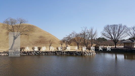 夫妻单方信用卡逾期买房 夫妻单方信用卡逾期买房