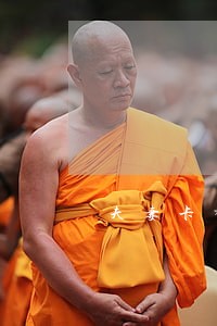夫妻卡都逾期怎么办