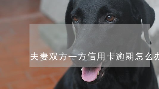 夫妻双方一方信用卡逾期怎么办