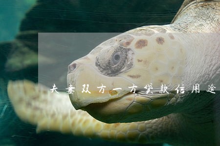 夫妻双方一方贷款信用逾期 夫妻双方一方贷款信用逾期