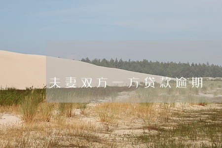 夫妻双方一方贷款逾期