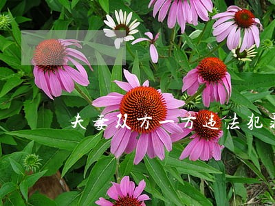 夫妻双方一方违法犯罪被判刑8年 夫妻双方一方违法犯罪被判刑8年