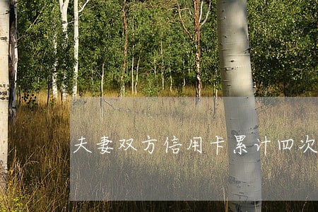 夫妻双方信用卡累计四次逾期 夫妻双方信用卡累计四次逾期