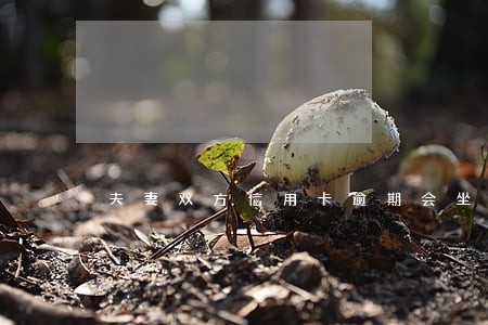 夫妻双方信用卡逾期会坐牢吗