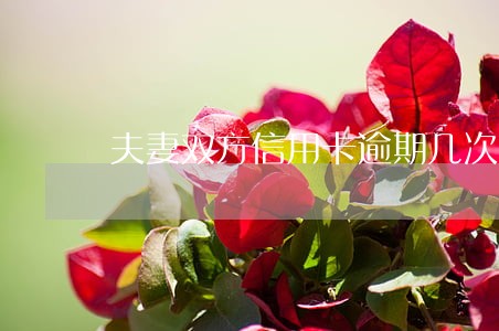 夫妻双方信用卡逾期几次 夫妻双方信用卡逾期几次