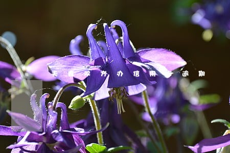 夫妻双方办信用卡逾期 夫妻双方办信用卡逾期