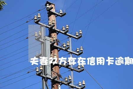 夫妻双方存在信用卡逾期 夫妻双方存在信用卡逾期