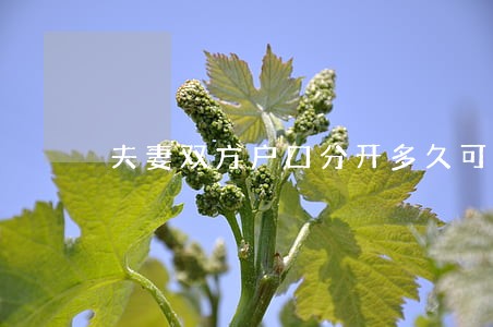 夫妻双方户口分开多久可以离婚 夫妻双方户口分开多久可以离婚