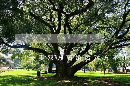 夫妻双方离婚后对方不让见孩子 夫妻双方离婚后对方不让见孩子