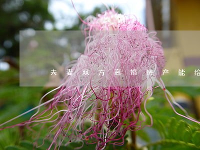夫妻双方离婚房产能给孩子吗 夫妻双方离婚房产能给孩子吗