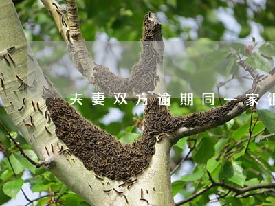夫妻双方逾期同一家银行信用卡 夫妻双方逾期同一家银行信用卡